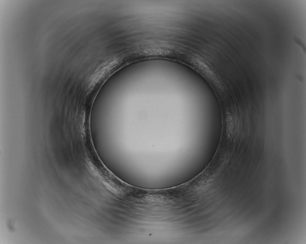 X0000099410490200805231608