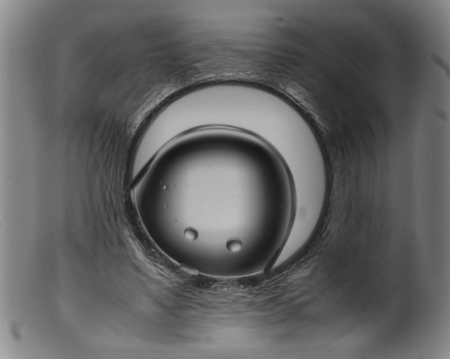 X0000099410491200805231608