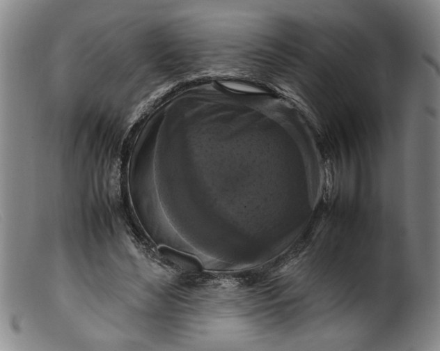 X0000099410492200805231608