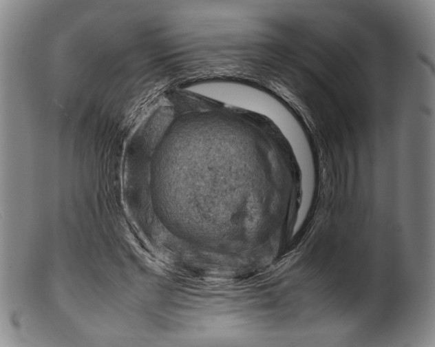 X0000099410493200805231608