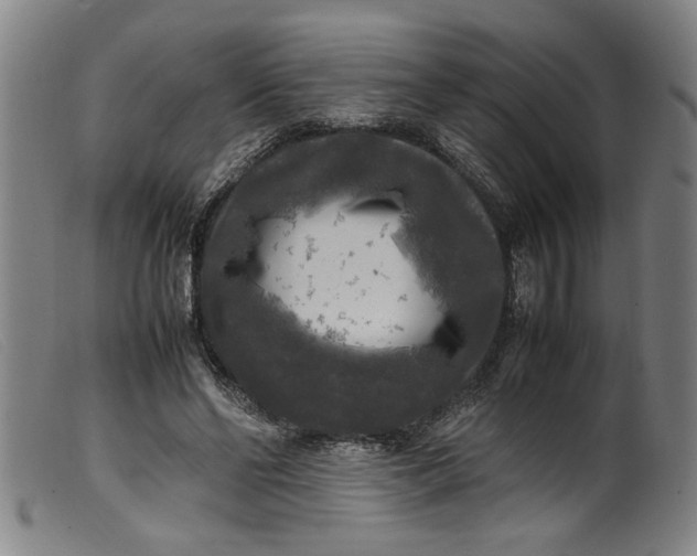 X0000099410494200805231608