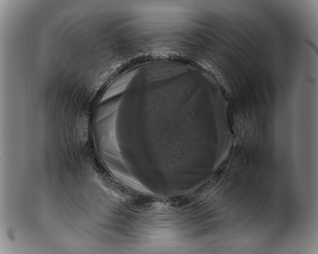 X0000099410496200805231608