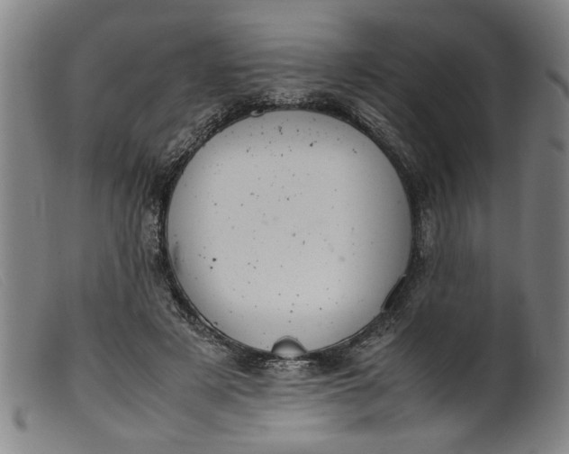 X0000099410497200805231608