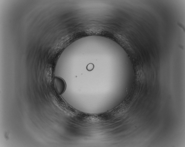 X0000099410498200805231608