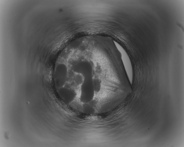 X0000099410499200805231608