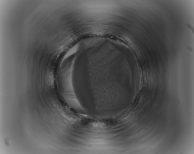 X0000099410500200805231608