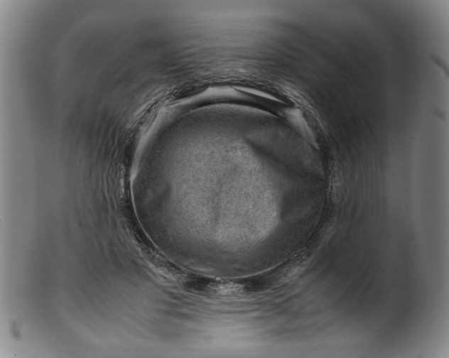 X0000099410501200805231608