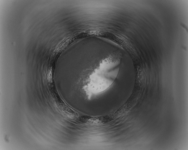 X0000099410502200805231608