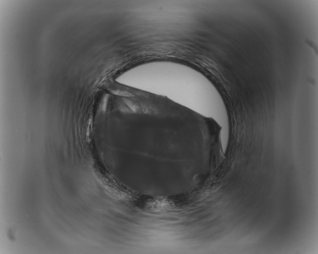 X0000099410503200805231608