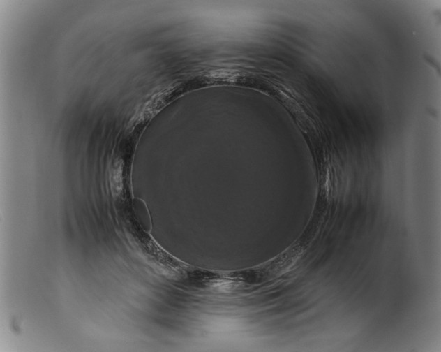 X0000099410504200805231608