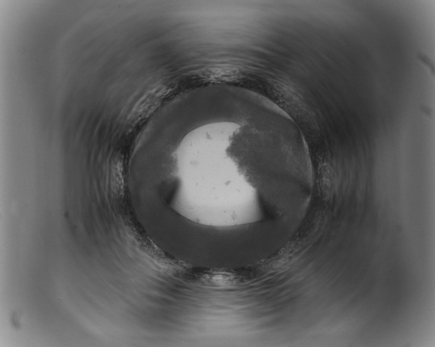 X0000099410506200805231608