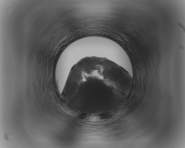 X0000099410507200805231608