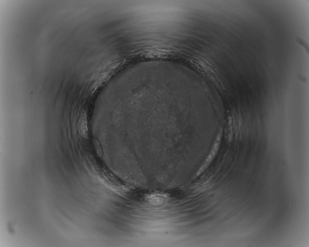 X0000099410508200805231608