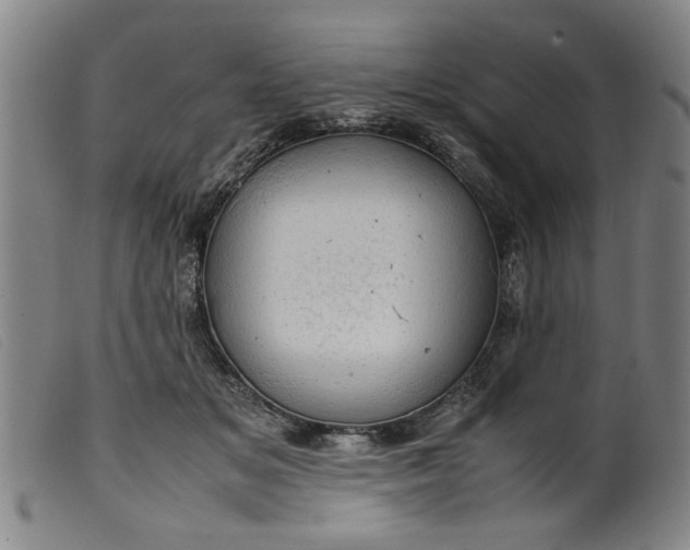 X0000099410509200805231608