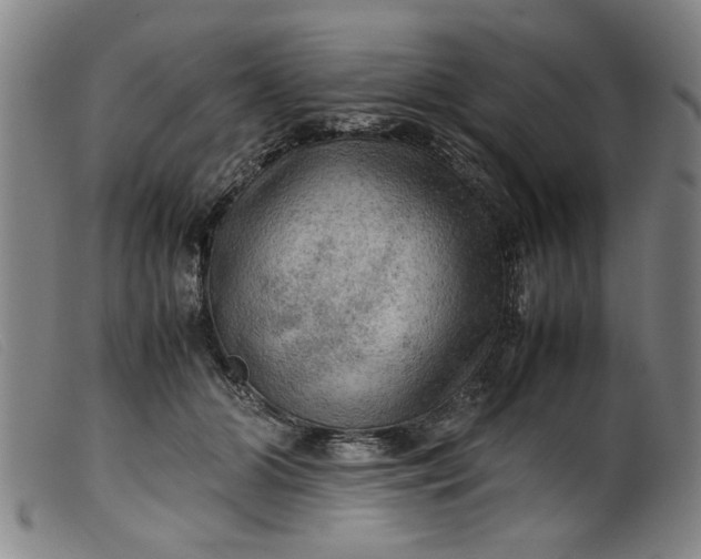 X0000099410510200805231608