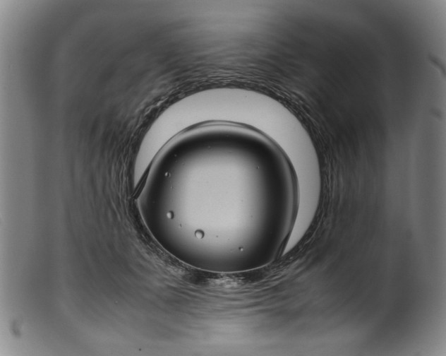 X0000099410511200805231607