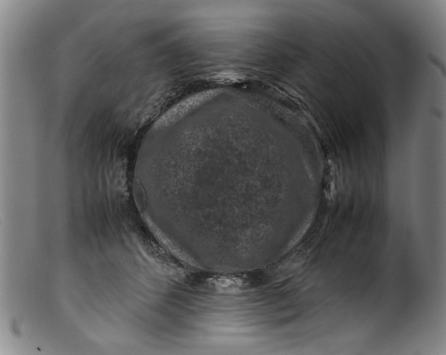 X0000099410512200805231607