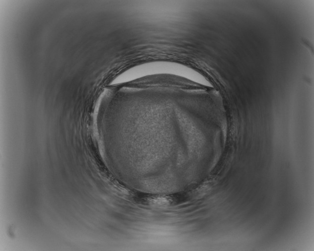 X0000099410513200805231607