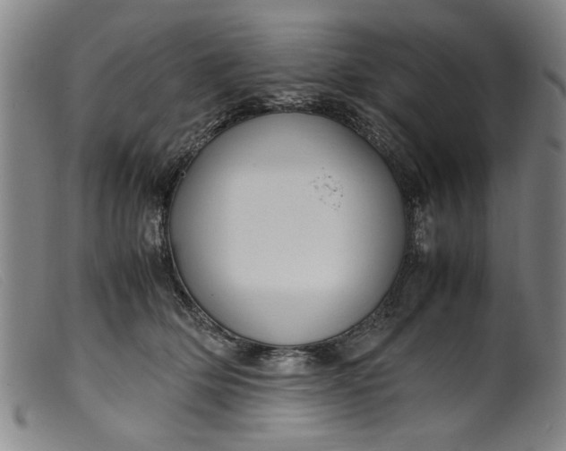 X0000099410514200805231607