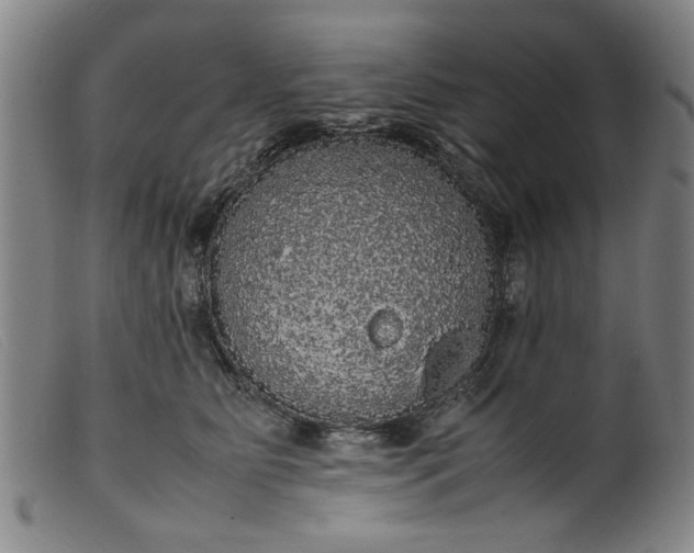 X0000099410515200805231607