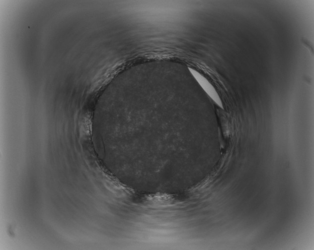 X0000099410517200805231607