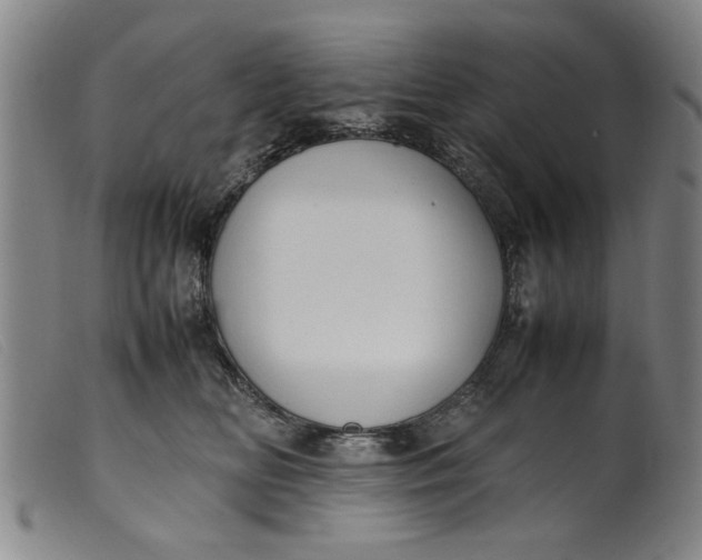 X0000099410518200805231607