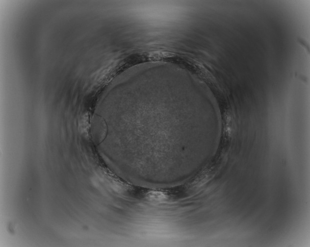 X0000099410519200805231607