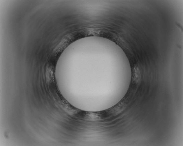 X0000099410522200805231607