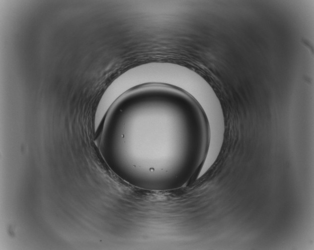 X0000099410523200805231607