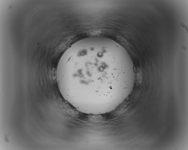 X0000099410525200805231607