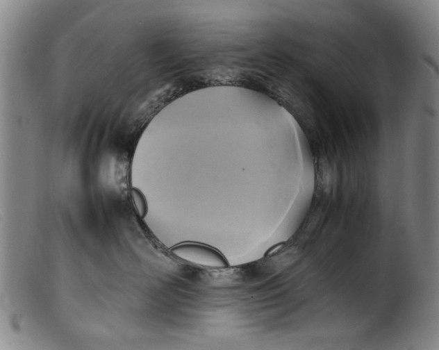 X0000099410526200805231607