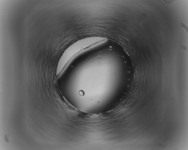 X0000099410527200805231607