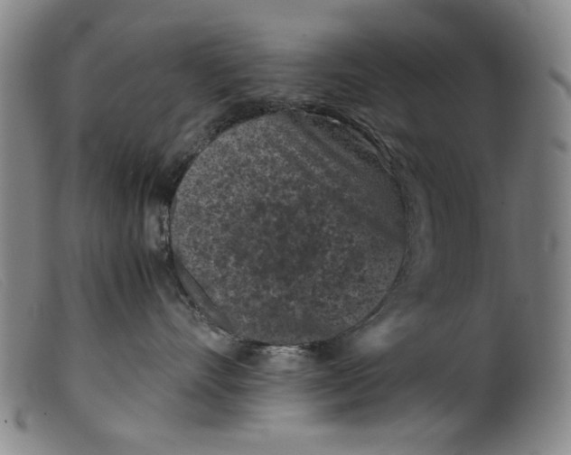 X0000099410528200805231607