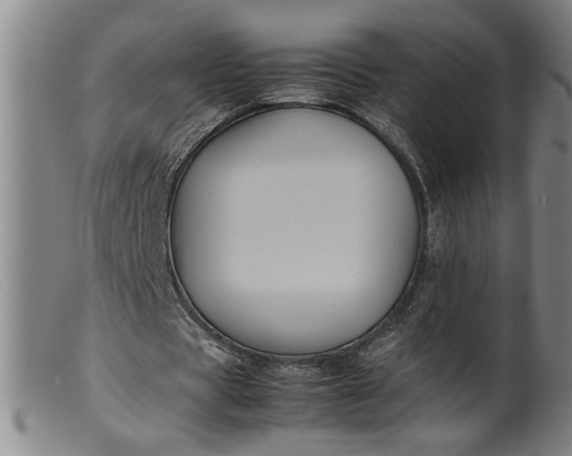 X0000099410529200805231606