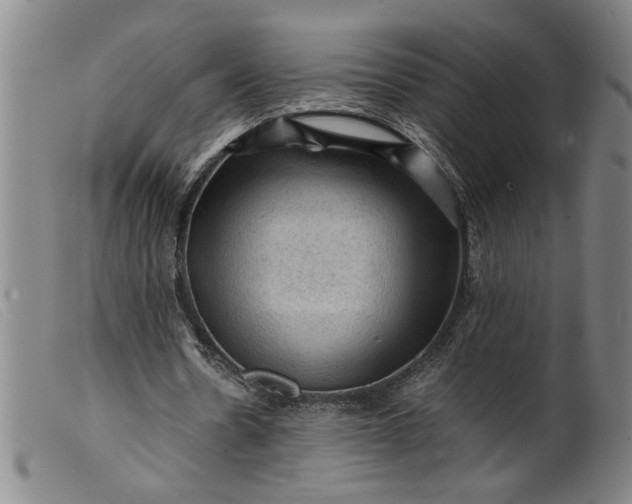 X0000099410530200805231607