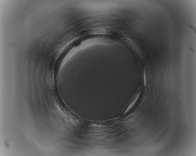 X0000099410531200805231607