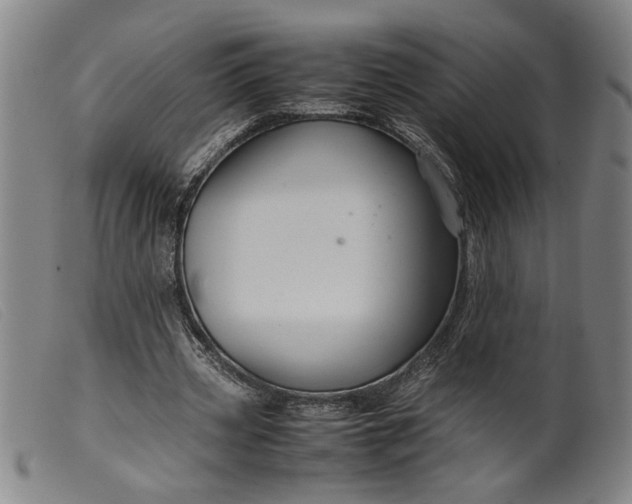 X0000099410533200805231607