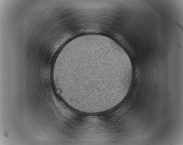 X0000099410534200805231607