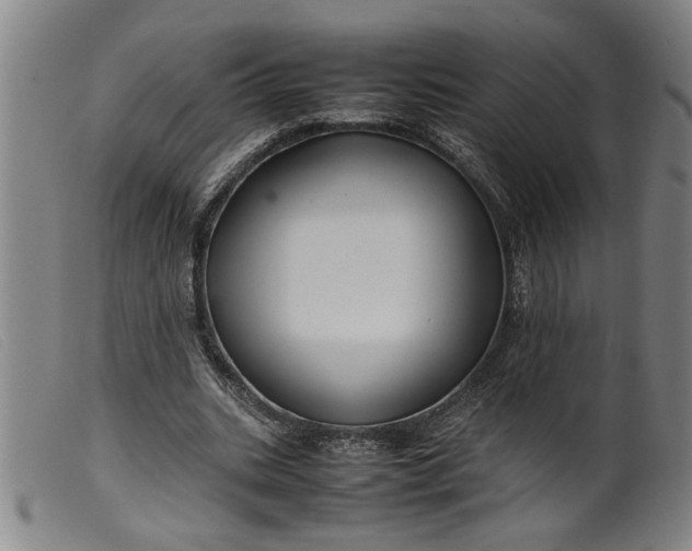 X0000099410535200805231607