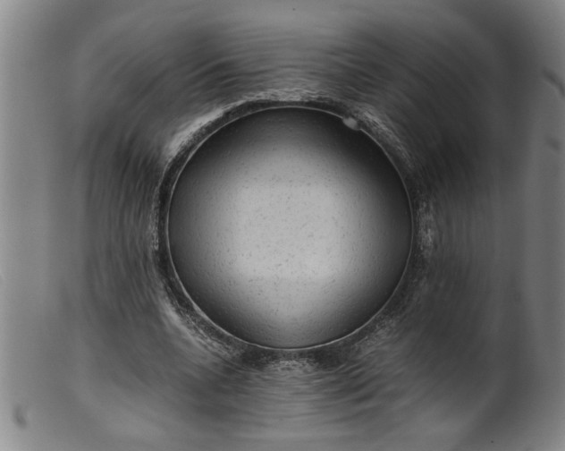 X0000099410536200805231607