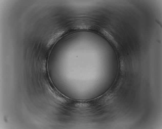 X0000099410537200805231607