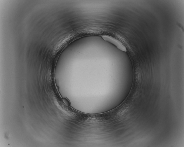 X0000099410538200805231607