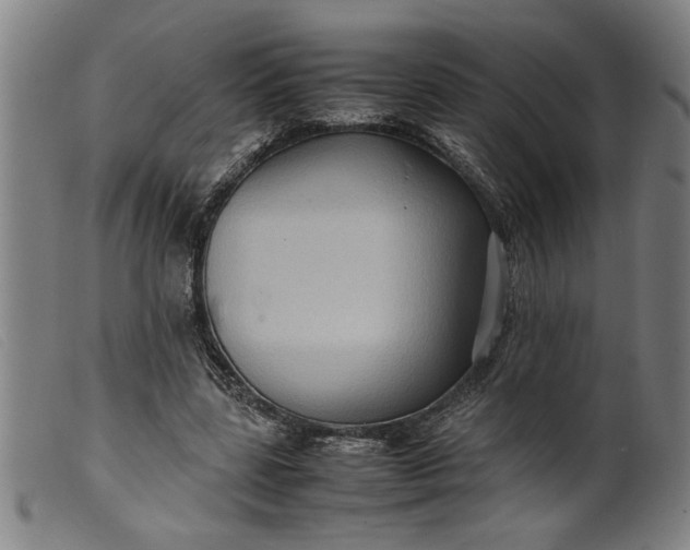 X0000099410539200805231607