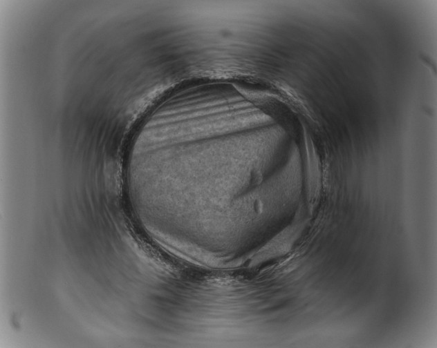 X0000099410540200805231607