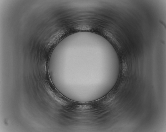 X0000099410541200805231607