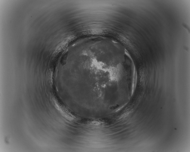 X0000099410542200805231607