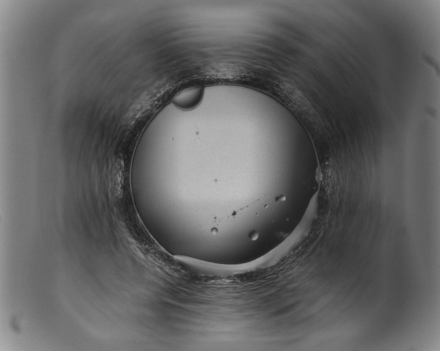 X0000099410544200805231607