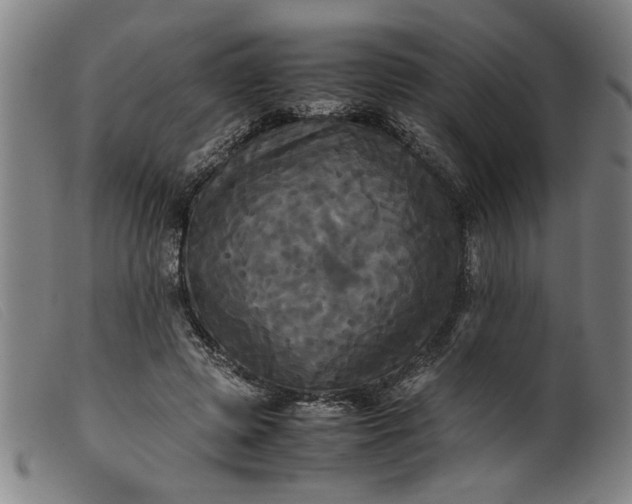 X0000099410545200805231607