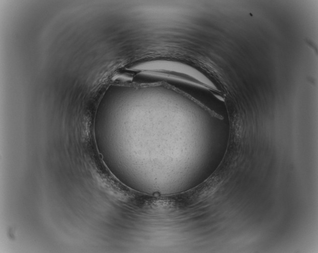 X0000099410546200805231607