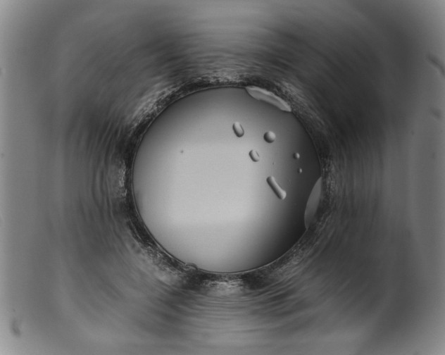 X0000099410548200805231607